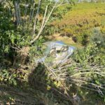 tarlaya yuvarlanan otomobilin surucusu oldu 5d7f4a8e1d41