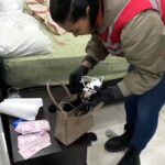 tekirdagda fuhus operasyonu 5 tutuklama 0b2556cf8154