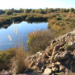 Ehliyetsiz Sürücü, Göletin İçine Düşen Araçla Hastaneye Kaldırıldı 4 tokatta ehliyetsiz surucu otomobille golete dustu 4d1d2a997eb3