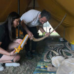 Mersin'de Fin Balinası İskeleti Puzzle Gibi Birleştiriliyor 3 toprak altindan cikarilan fin balinasinin iskeleti puzzle gibi birlestiriliyor ffb0519ff045