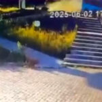 Ehliyetsiz Sürücünün Yol Açtığı Kazada Hayatını Kaybeden Ümran Öksüzoğlu İçin Adalet Çağrısı Devam Ediyor 4 umranin oldugu kazada ailesinden durusma icin destek cagrisi 609bd36076c3