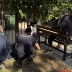 Antalya’da Cami Avlusunda Banka Sıkışan Adam, İtfaiye Ekipleri Tarafından Kurtarıldı 1 uyurken bacagini banka sikistirdi itfaiye kurtardi a085c9386556