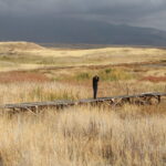 Van Gölü'ndeki Küresel İklim Değişikliği Etkisiyle Şiddetlenen Çekilme Görüntülendi 3 van golundeki cekilme fotograflarda 3c5a30b30c5c