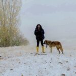 vanda karabet gecidinde kar yagisi etkili oldu 2 98a26d2e8ab0