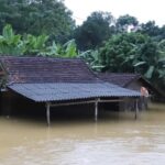 vietnamda sel nedeniyle hayatini kaybedenlerin sayisi 28e yukseldi 045aa22429af