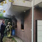 İnegöl'de Yangın Çıkan Villada Mahsur Kalan Kedi İtfaiye Tarafından Kurtarıldı 4 villadaki yanginda mahsur kalan kediyi itfaiye kurtardi 4604e55f0e05