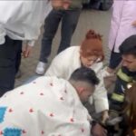 yanginda 2 kopekten biri oldu digeri kalp masajiyla yasama donduruldu f211690e144a