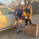 yarali halde bulunan kizil sahin tedaviye alindi 5fc287d58c71