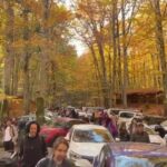 Yedigöller Milli Parkı'nda yoğunluk nedeniyle alternatif parklar önerildi 1 yedigoller milli parki ziyaretci akinina ugradi 2 87ff821d7c1c