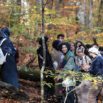 Yedigöller Milli Parkı, Sonbahar Tatilinde Ziyaretçi Akınına Uğradı 8 yedigoller milli parki ziyaretci akinina ugradi 1b2f5cd4e93b