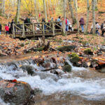 Yedigöller Milli Parkı, Sonbahar Tatilinde Ziyaretçi Akınına Uğradı 5 yedigoller milli parki ziyaretci akinina ugradi 327a272c661b