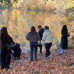 Yedigöller Milli Parkı, Sonbahar Tatilinde Ziyaretçi Akınına Uğradı 1 yedigoller milli parki ziyaretci akinina ugradi 41a3b8aeb572