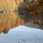 Yedigöller Milli Parkı, Sonbahar Tatilinde Ziyaretçi Akınına Uğradı 6 yedigoller milli parki ziyaretci akinina ugradi 7c3ad605ba22