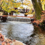 Yedigöller Milli Parkı, Sonbahar Tatilinde Ziyaretçi Akınına Uğradı 2 yedigoller milli parki ziyaretci akinina ugradi 8b762406ba21