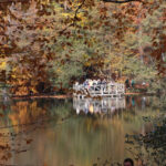 Yedigöller Milli Parkı, Sonbahar Tatilinde Ziyaretçi Akınına Uğradı 7 yedigoller milli parki ziyaretci akinina ugradi ed4fcb2086ae