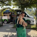 Ordu'da dolmuş şoförleri, yaralı kediyi tedavi ettirip ona yuva yaptı 2 yolcu isimli kedi tedavi edildigi dolmus duraginin maskotu oldu 24a0a99026b4