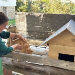 Ordu'da dolmuş şoförleri, yaralı kediyi tedavi ettirip ona yuva yaptı 3 yolcu isimli kedi tedavi edildigi dolmus duraginin maskotu oldu 44d864f2c7b0