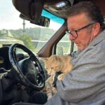 Ordu'da dolmuş şoförleri, yaralı kediyi tedavi ettirip ona yuva yaptı 5 yolcu isimli kedi tedavi edildigi dolmus duraginin maskotu oldu f437929b6670