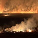 yuksekovadaki nehil sazliginda yangin 60200118dca9