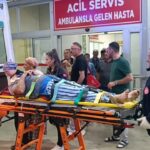 Kozan'daki Zeytin Bahçesinde Düşen Yaşlı Adam Yaralandı 1 zeytin bahcesindeki tepeden dusup yaralandi 788a022aefda