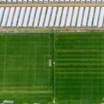 antalyada futbol takimlari 1500 kamp yapacak 31f1ff1ba844