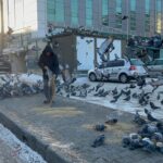 ardahanda esnaf soguk havada yiyecek bulamayan guvercinleri imece usulu besliyor a72a8e6b38c9