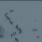 artvinde cig dustu kar altinda kalan 3 cobandan 1i oldu 2si araniyor 2 fff112ca0bbd