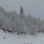 Borçka'da Yoğun Kar Yağışı Sürücüleri Zora Soktu, Çocuklar Eğlendi 4 artvinde kar nedeniyle araclar yolda kaldi suruculer ates yakip isindi 26683d8d3aa1