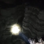 avcilar ucurumdan yuvarlanan kopegi kurtardi d69bfa8a7718