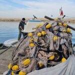 balikcilar karadenizde umduklarini bulamadi hamsi disinda cesit yok 257314173575