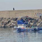 balikcilar karadenizde umduklarini bulamadi hamsi disinda cesit yok a63c3c525975