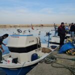 balikcilar karadenizde umduklarini bulamadi hamsi disinda cesit yok fdee14a9f8c5