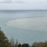 bartin irmaginin dokuldugu noktada denizin rengi kahverengiye dondu 0337d78809fa