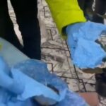 Bitlis'te Uyuşturucu Operasyonunda 5 Tutuklama Gerçekleşti 1 bitliste uyusturucu operasyonu 5 tutuklama 752a63277d78