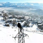 bitliste yuksek gerilim hattinda zorlu kis mesaisi 02a3d9568ffc