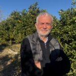 Bodrum'da Coğrafi İşaretli Mandalina Hasadı Başladı: Rekolte Düşük, Fiyatlar Yükseliyor 8 bodrum mandalinasi bahcede 15 20 manavlarda 100 liradan satiliyor f8b9f87045c1