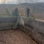 Amasya'da Boş Sulama Havuzuna Düşen Yavru Karaca İtfaiye Tarafından Kurtarıldı 1 bos sulama havuzuna dusen yavru karacayi itfaiye kurtardi 3154ef722b36