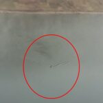 dag kecisi baraj golunu yuzerek gecti o anlar kamerada 5762c7b0cb43