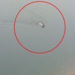 dag kecisi baraj golunu yuzerek gecti o anlar kamerada de393b04d8a4