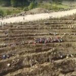 Dalaman'da Yangından Sonra Başlatılan Ağaçlandırma Çalışmaları Sonuç Verdi: 450 Bin Fidan Toprakla Buluşturuldu 5 dalamanda yanan alanlar tekrar yeserdi 317a6667b824