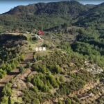 Dalaman'da Yangından Sonra Başlatılan Ağaçlandırma Çalışmaları Sonuç Verdi: 450 Bin Fidan Toprakla Buluşturuldu 2 dalamanda yanan alanlar tekrar yeserdi 6c6f44584f9e