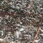 datcada olu baliklar sahile vurdu c497efc92c69