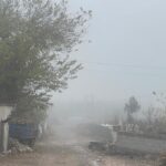 Diyarbakır'da Sis Etkisi: Görüş Mesafesi 30 Metreye Düştü, Uçak Seferlerinde Gecikmeler Yaşandı 1 diyarbakirda sis nedeniyle ucak seferleri aksadi 74874e11568d