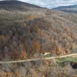 dumanli daginda sonbahardan kalma renk cumbusu 19cf4cf981e6