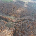 dumanli daginda sonbahardan kalma renk cumbusu 3449ebe04426