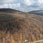 dumanli daginda sonbahardan kalma renk cumbusu f83651d1d4c9