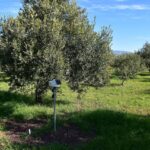 en iyi su hasadi deposu toprak 38780a13dbc5