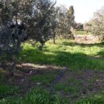 en iyi su hasadi deposu toprak 42f28d2734bc