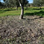 en iyi su hasadi deposu toprak cb4517d1de12