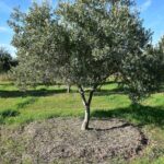 en iyi su hasadi deposu toprak fd7db354467e